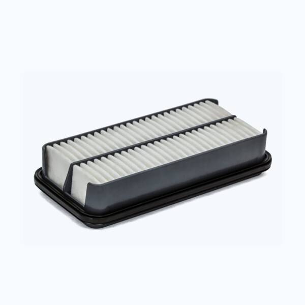 Double air filter